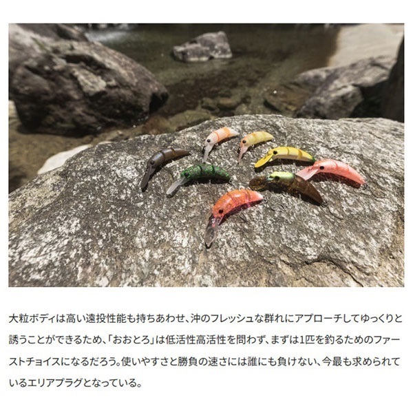 CARDIFF  おおとろ 45F